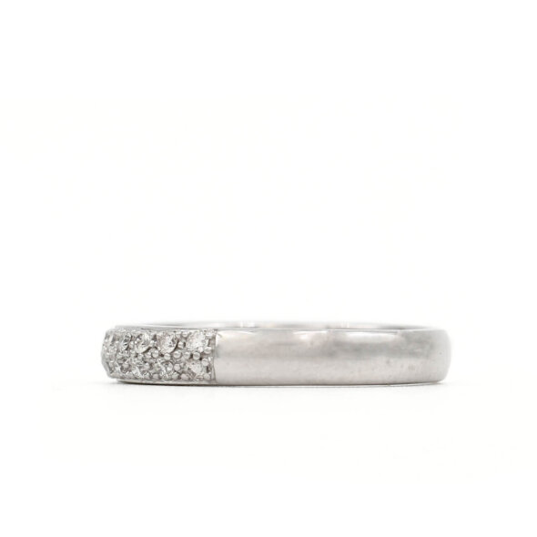 18 Karat White Gold Two Row Diamond Band