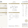 GIA diamond grading report
