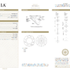 GIA diamond grading report